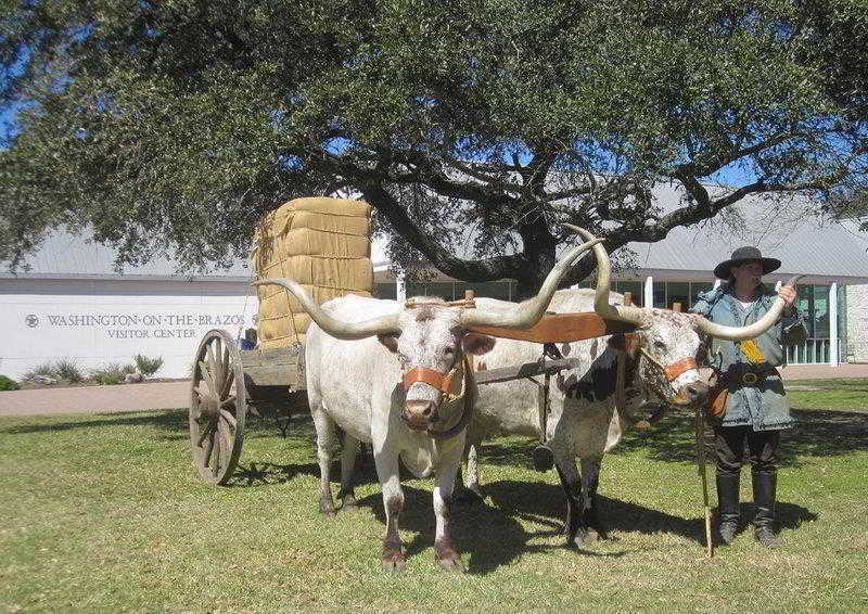 Western 3*