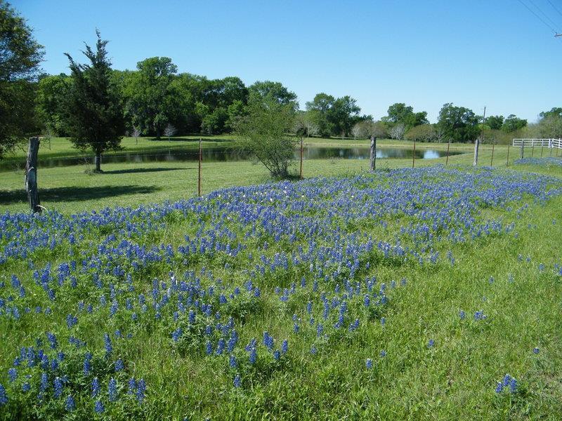 Western Of 3* Brenham
